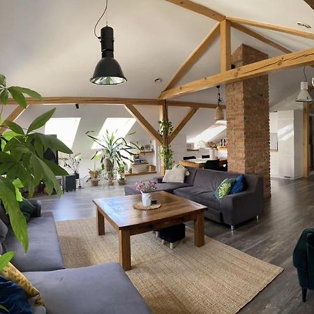 פז'מיסל Zeromskiego Apartament מראה חיצוני תמונה